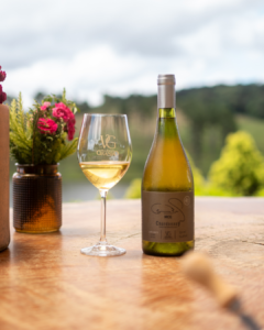 18 de fevereiro: Dia Mundial do Vinho – Celebre com a Villaggio Grando!